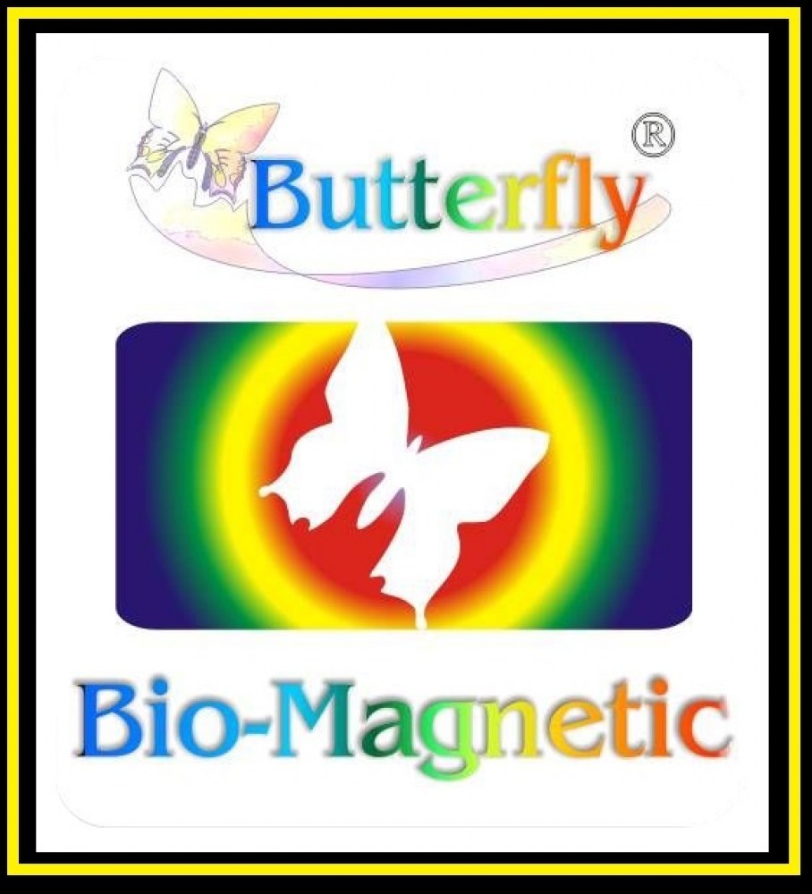 Logo_Butterfly_Bio_Magnetic_System1